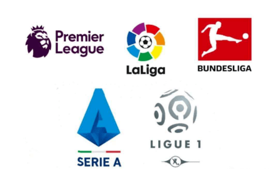 而资深球员 而资深球员